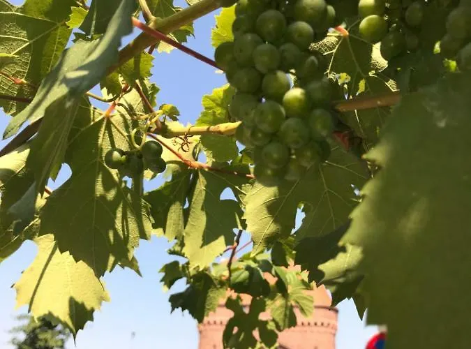 Main Boarding House * Miltenberg